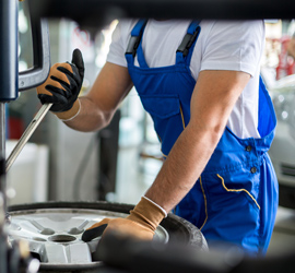 Awesome Gallery Image