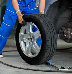 Awesome Gallery Image