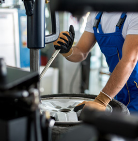 Awesome Gallery Image