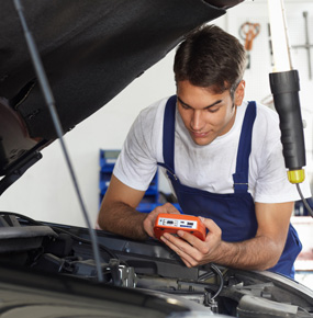 Awesome Gallery Image