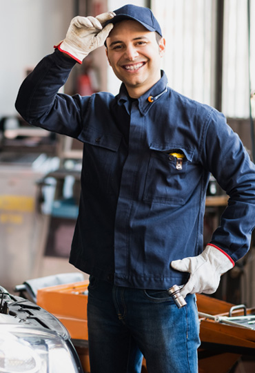 Awesome Gallery Image