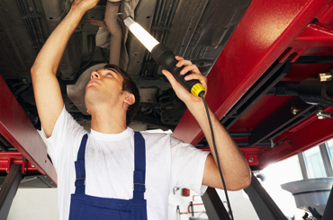 Awesome Gallery Image