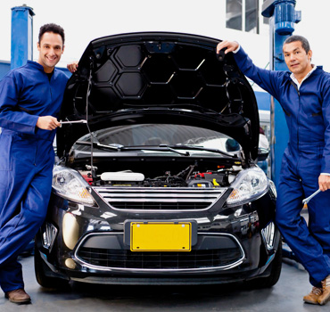 Awesome Gallery Image