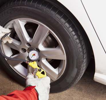 Awesome Gallery Image