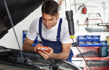 Awesome Gallery Image